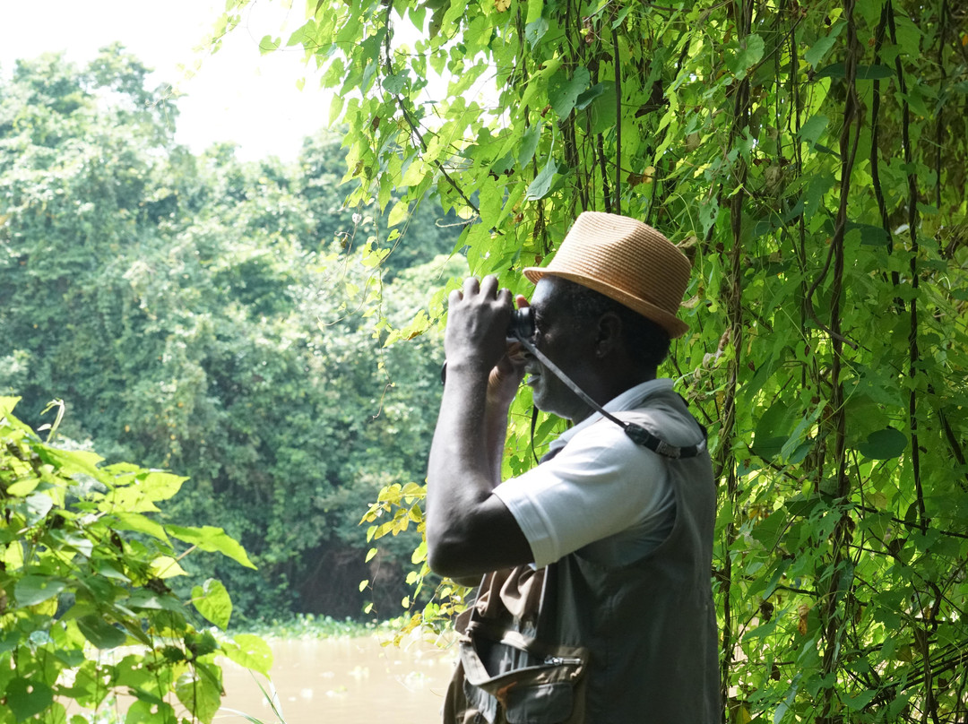 Domaine Bini Voyage-阿比让必去景点