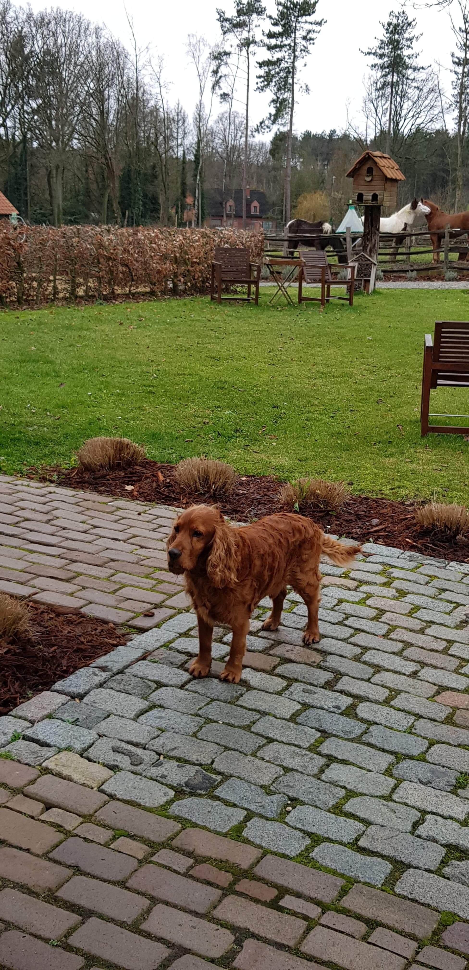 Zinnen en Minnen B&B-portrait