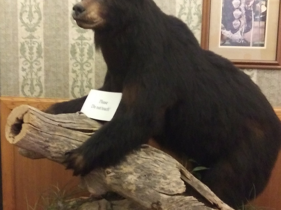 美国最佳价值黄金乡村旅馆&赌场主图