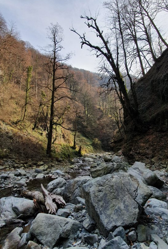 Lagodekhi National Reserve景点图片