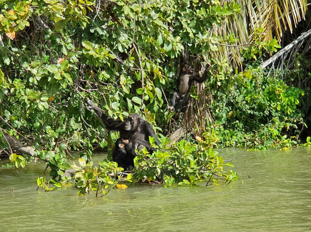 Kairoh Garden Kuntaur主图