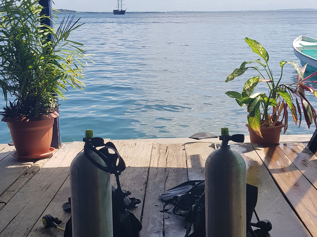 Bocas Tec Diving景点图片