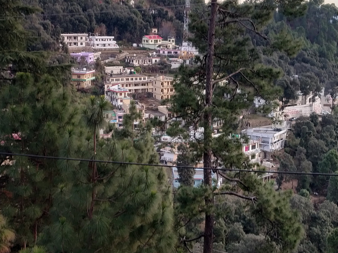 Anasakti Ashram景点图片