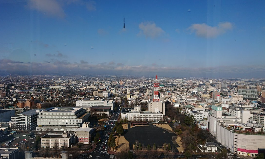 Takasaki City Hall Observation Deck景点图片