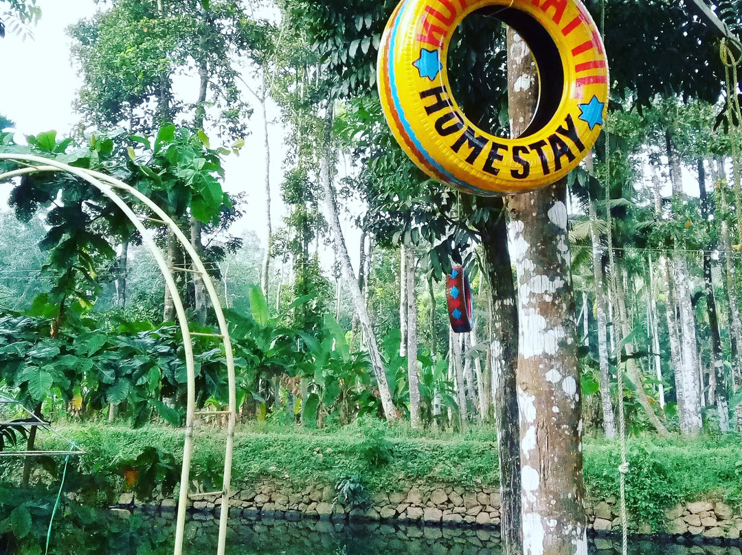 Kottayam Kayaking景点图片