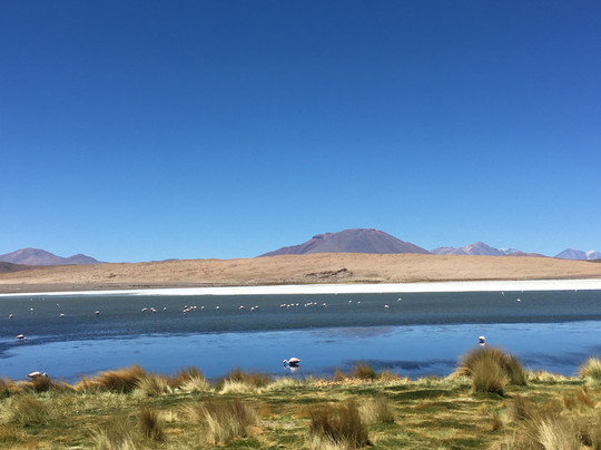 Inday Tours & Expeditions-拉巴斯必去景点