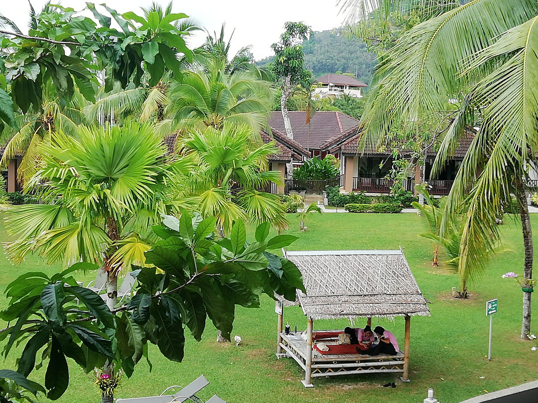 绿叶海滨度假村主图