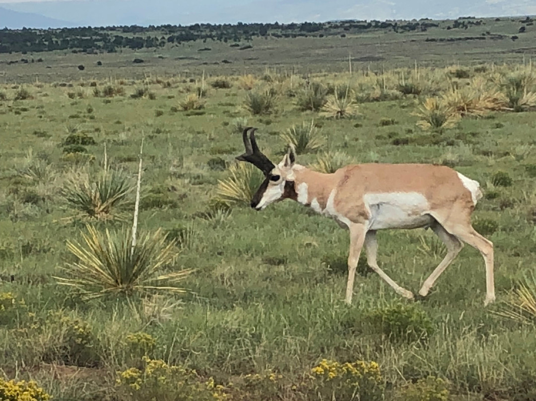 NRA Whittington Center-拉顿必去景点