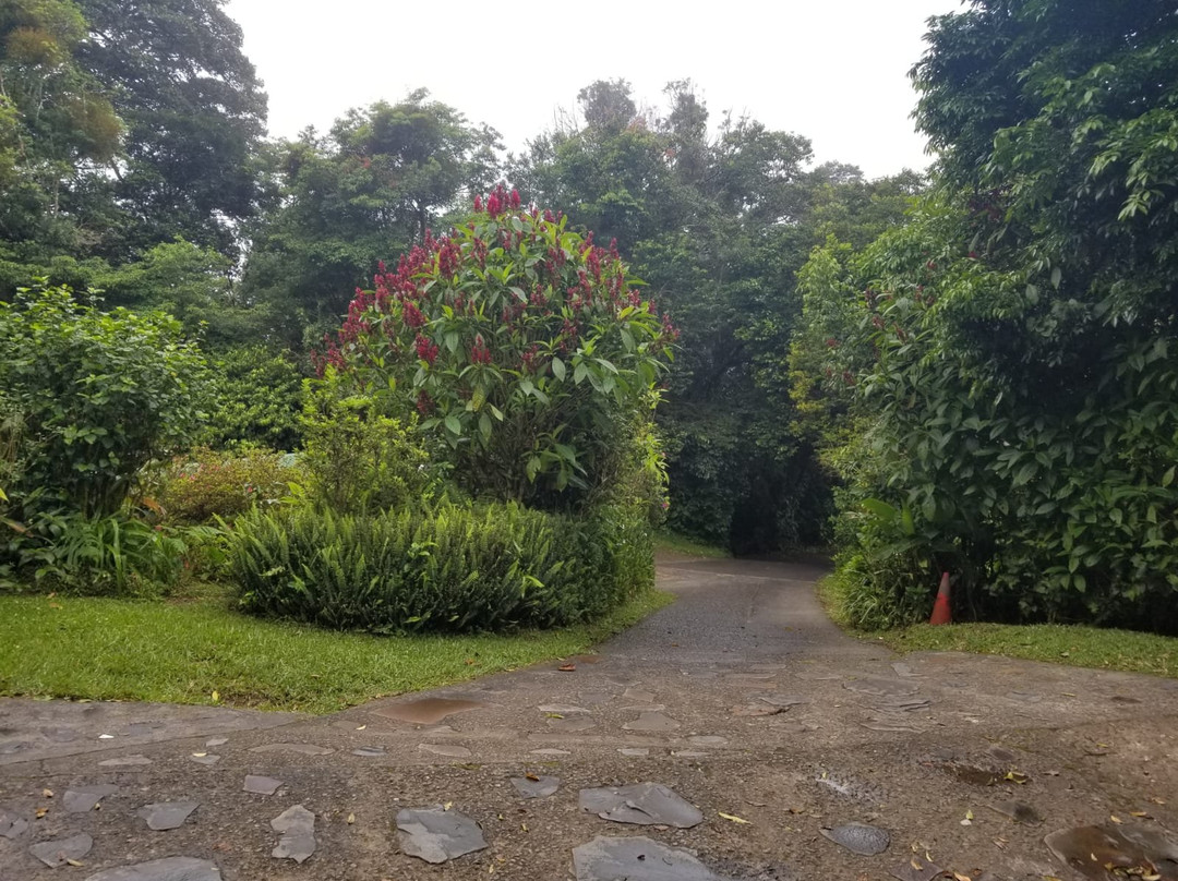 Hospedaje Mariposa主图