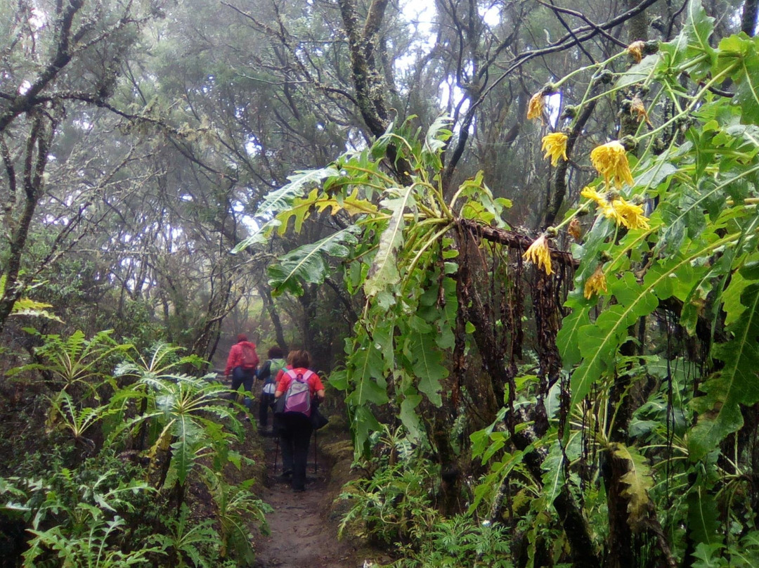 Melanie Ebock GOMERAGUIDE-La Gomera必去景点