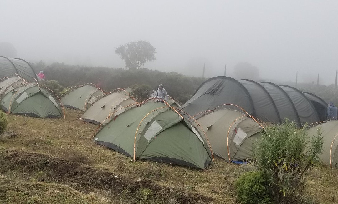 Ethio Simien Eco Tours-Amhara Region必去景点