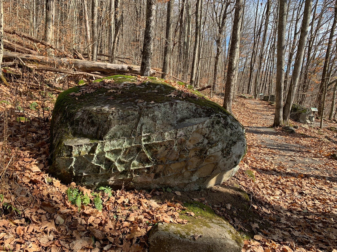 Honeycomb Rocks Trail景点图片