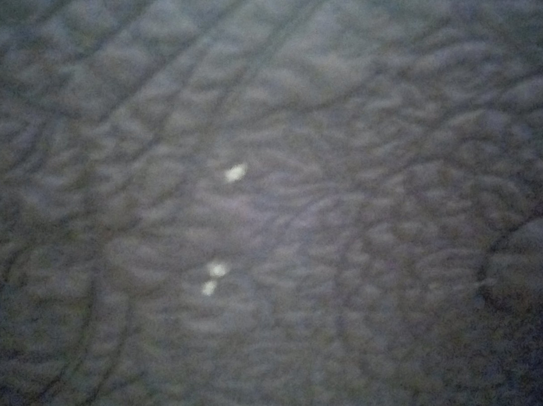 The Eldorado Motel主图