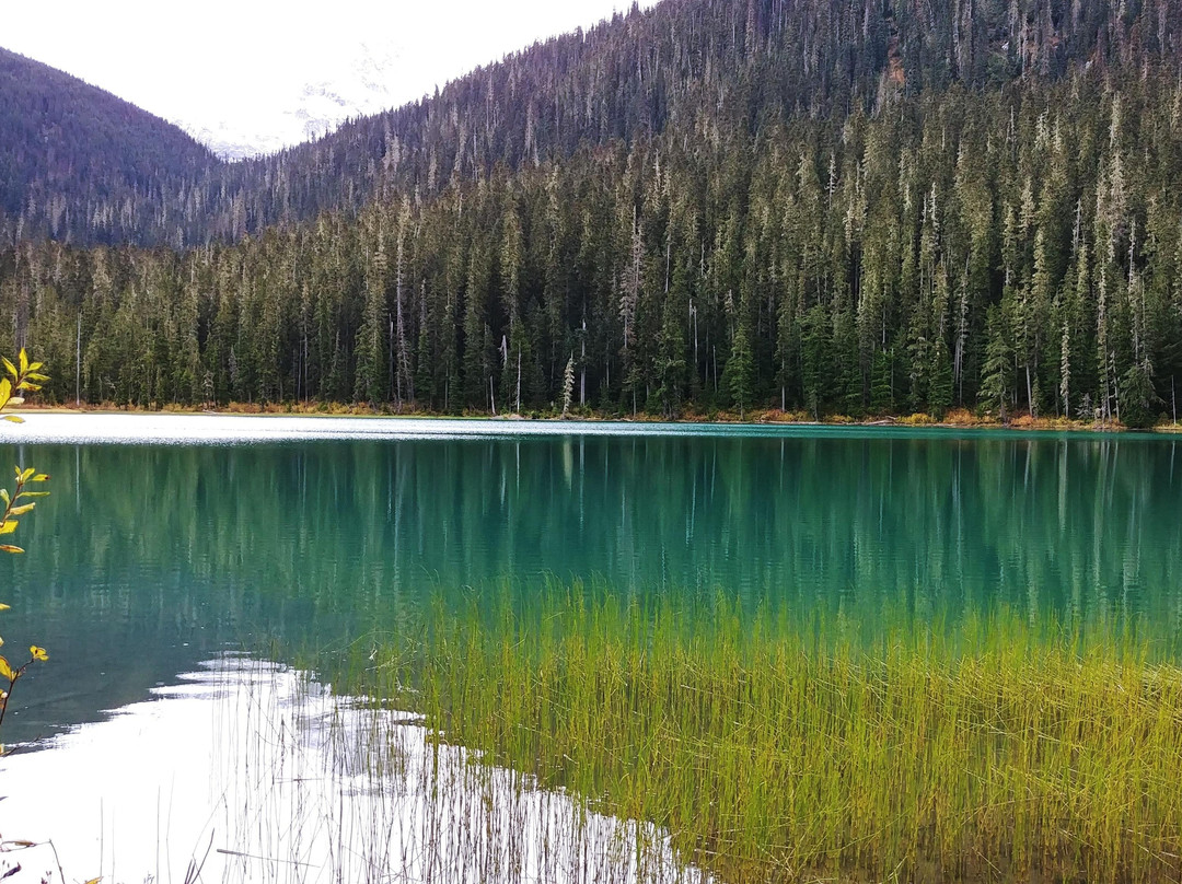 Beautiful Vancouver Explorer Tour & Shuttle-温哥华必去景点