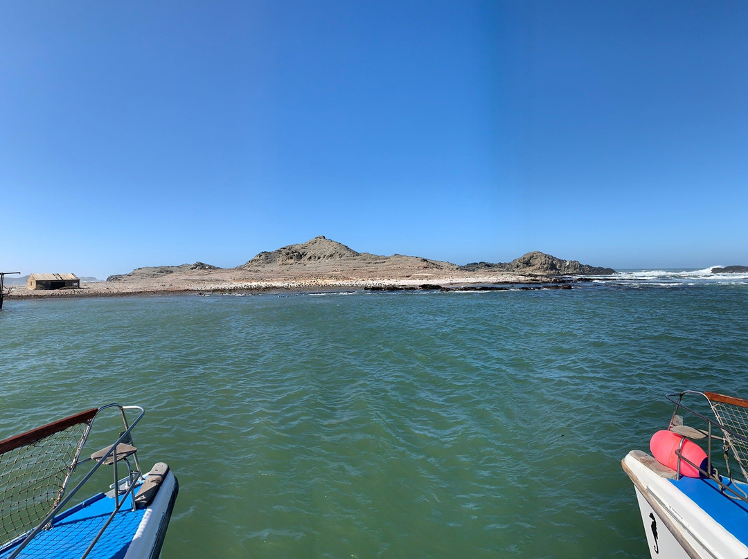 Zeepaard Boat Tours-吕德里茨必去景点