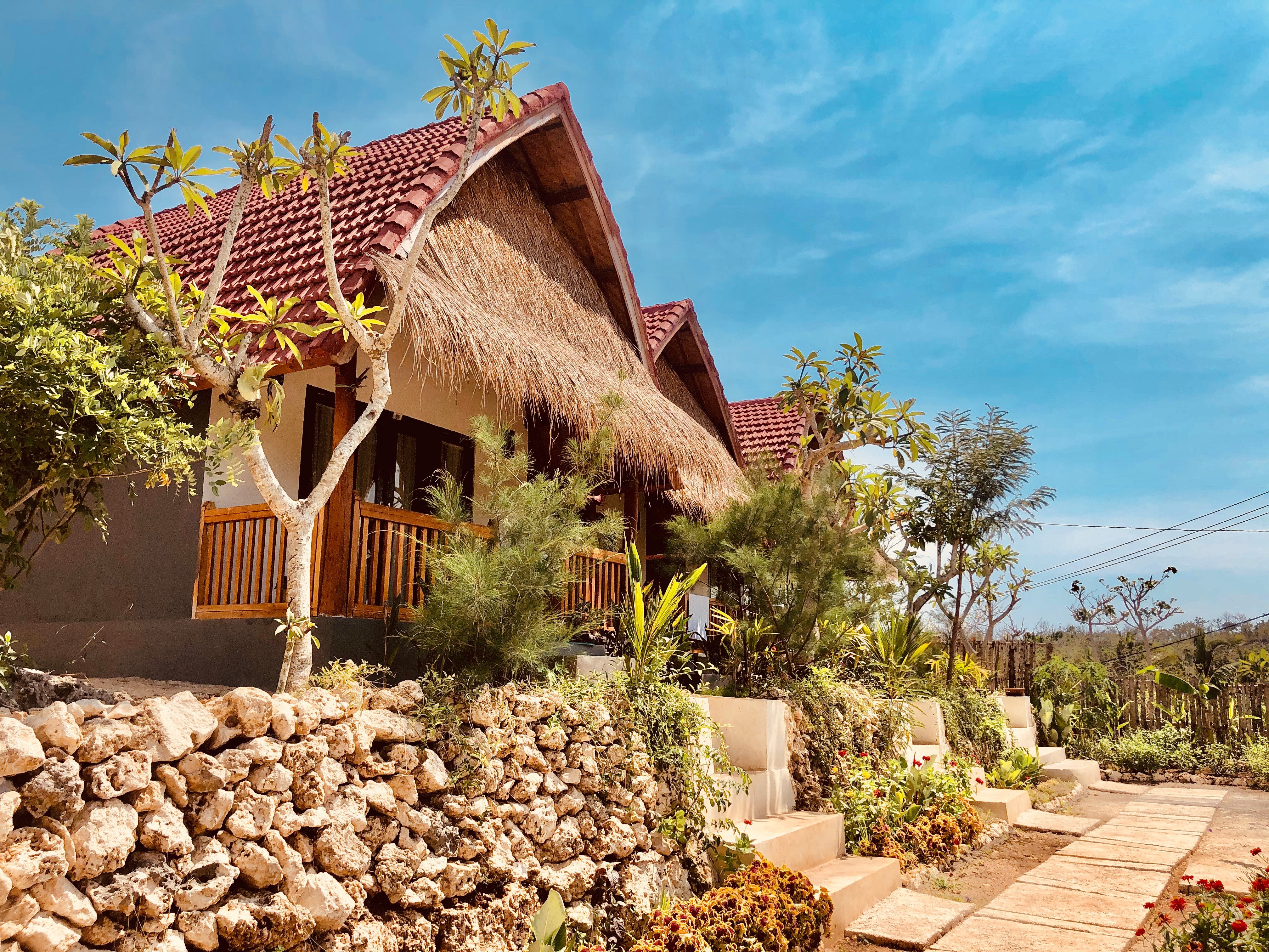 Temeling Jungle Inn-官方