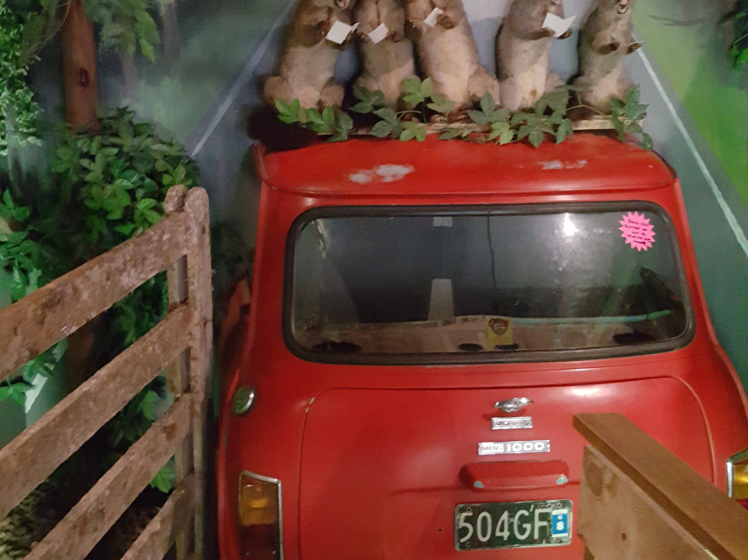 Opossum World-纳皮尔必去景点