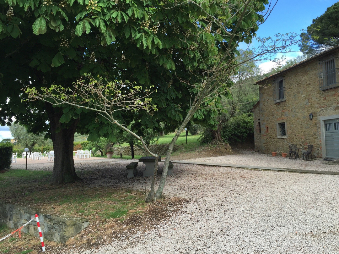 Antico Casale di Montegualandro Spa-Tuoro sul Trasimeno必去景点