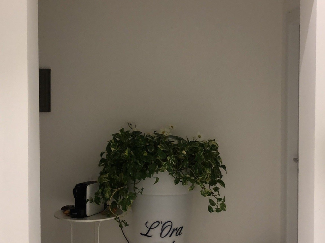 L'ora Blu Guest-house主图