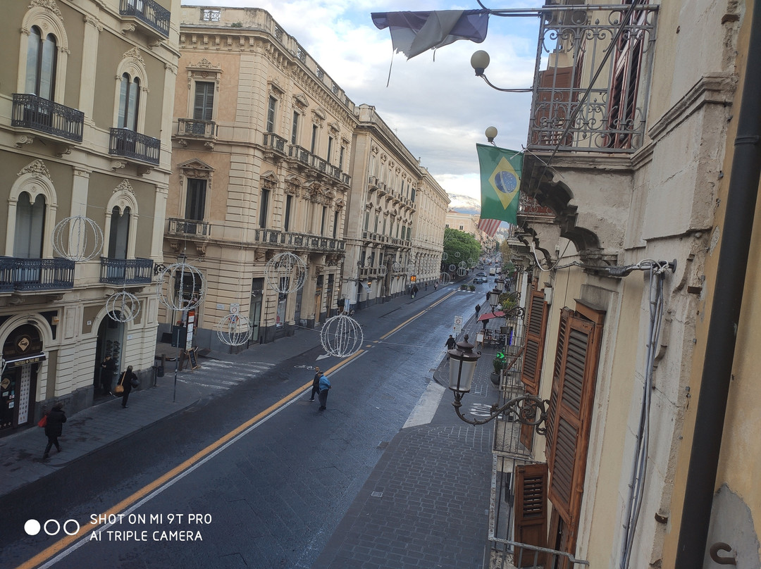 Sant'Agata li Battiati酒店住宿-B&B L'Elefante