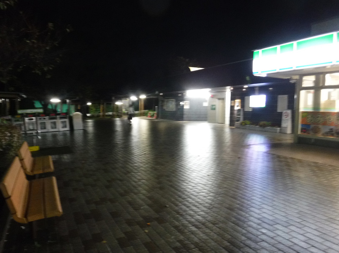 Chiyoda Parking Area Outbound景点图片