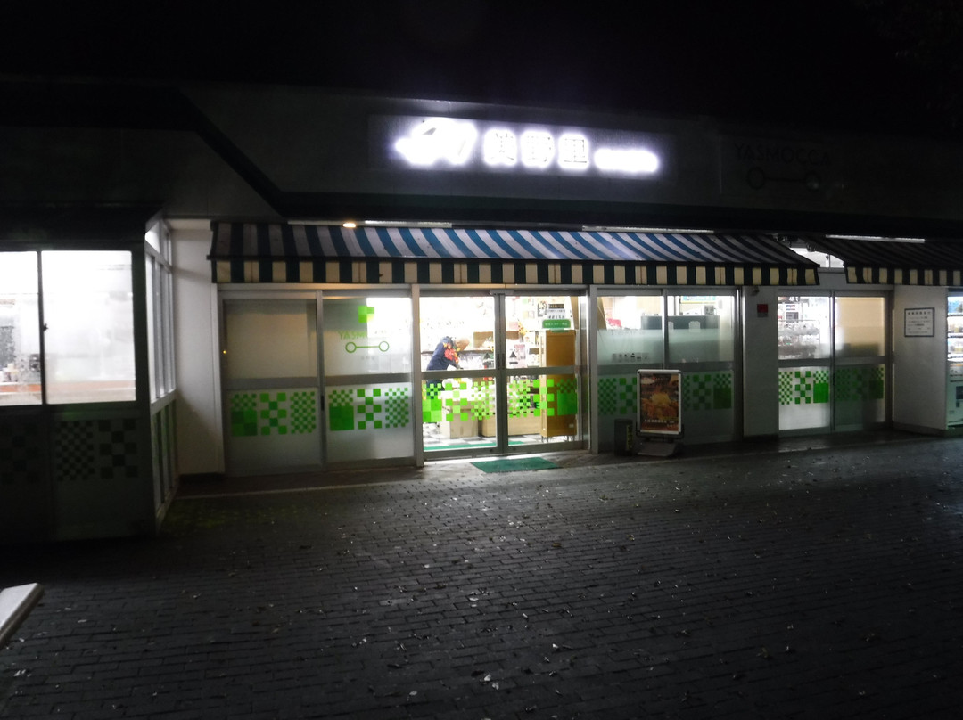 Minori Parking Area Outbound景点图片