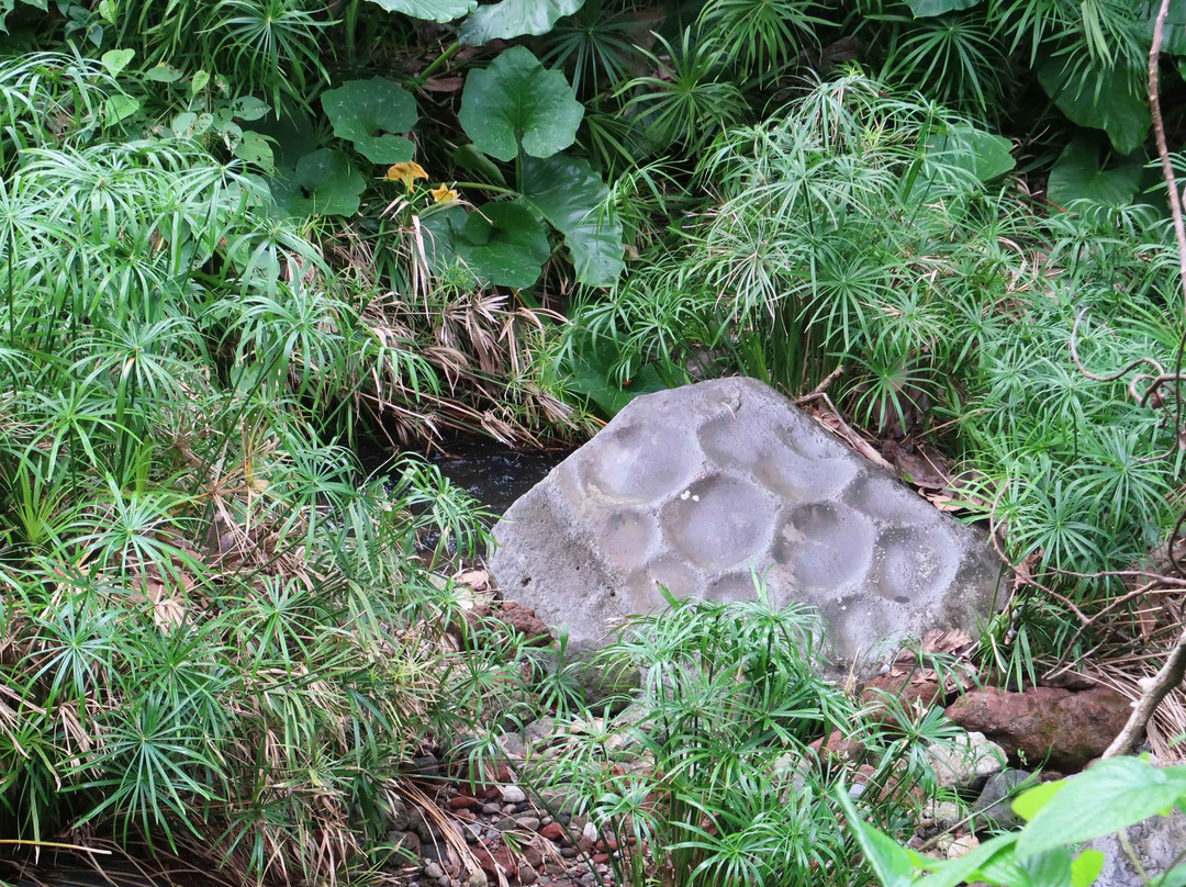 Mt. Rich Carib Stone Interpretation Center-圣派屈克必去景点