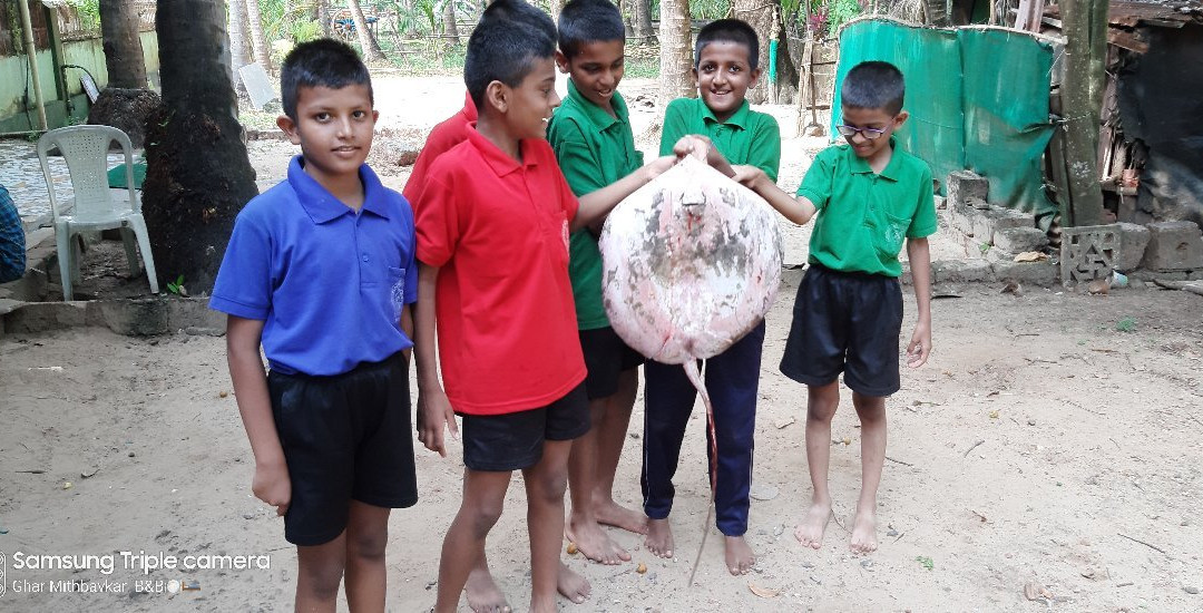 Mithbavkar's Homestay主图