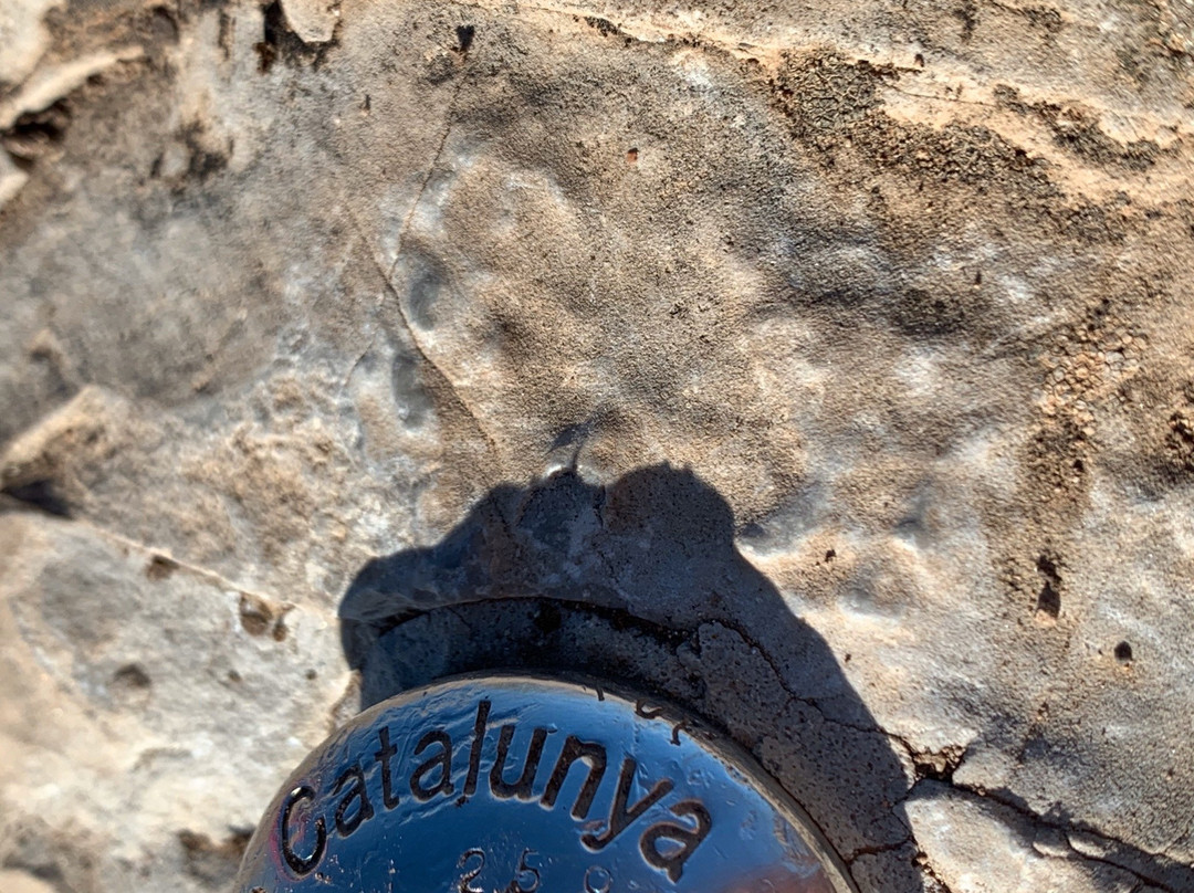 Montsant Natura-Cornudella de Montsant必去景点