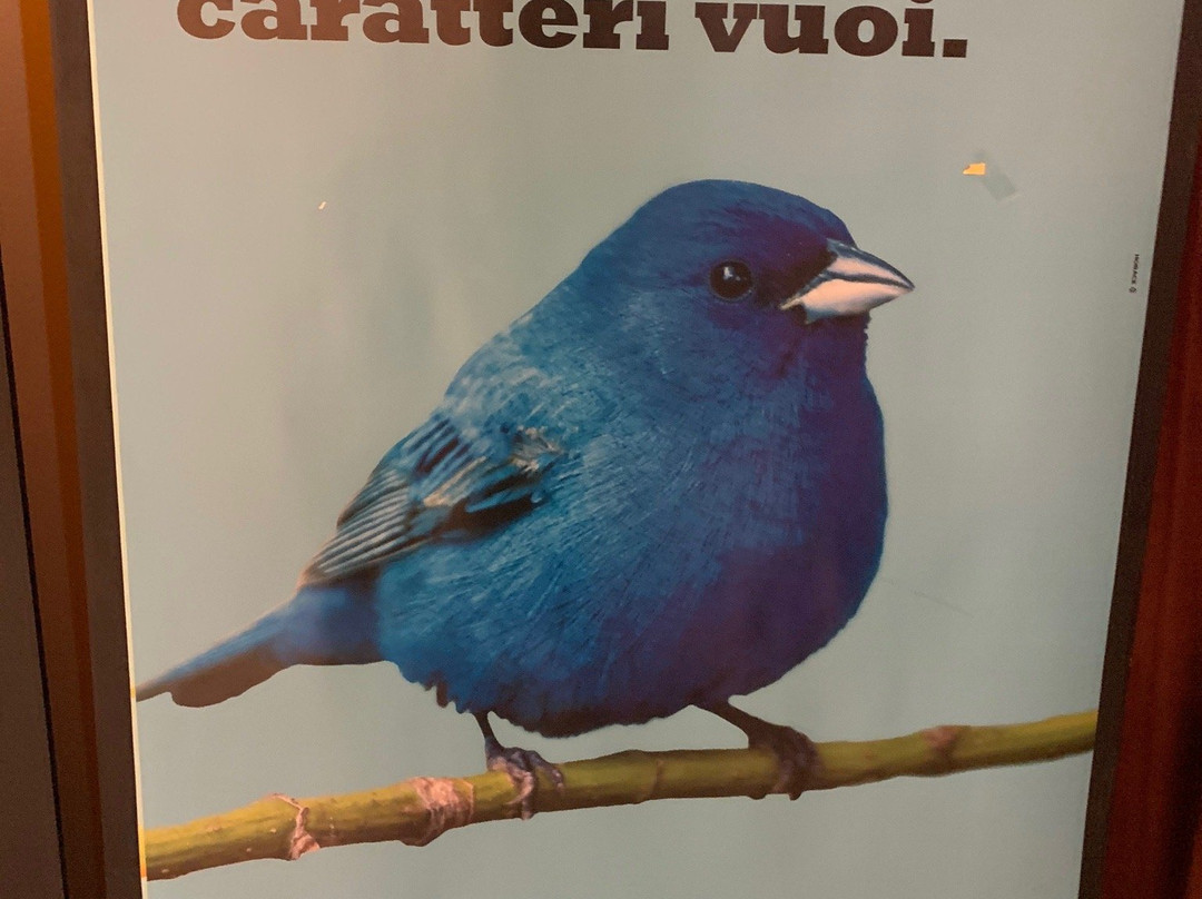 Nuovo Teatro Ariberto-米兰必去景点