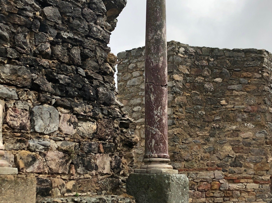 Ruinas de la Ciudad Romana de Regina景点图片