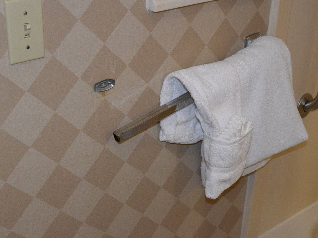 尚蒂利杜勒斯会展中心假日酒店主图