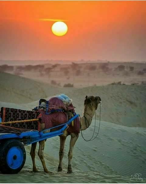 Rajasthan Bhumi Tours-斋蒲尔必去景点