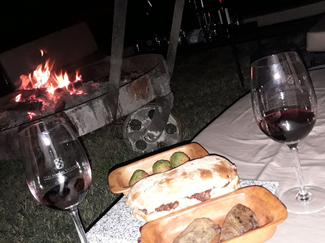 Don Manuel Villafañe Bodega-Maipu必去景点