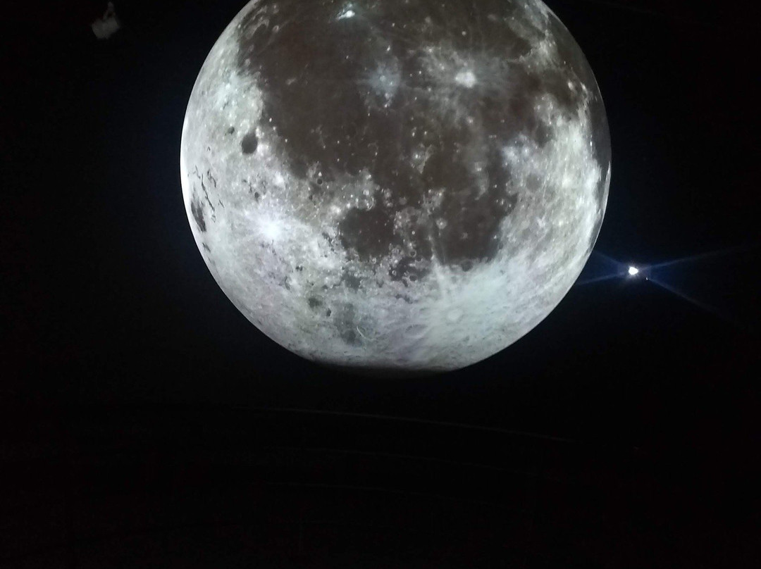 Museum Of Arts And Sciences-梅肯必去景点