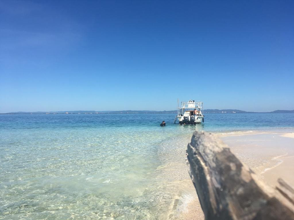 Frogman Dive Center-图卡卡斯必去景点