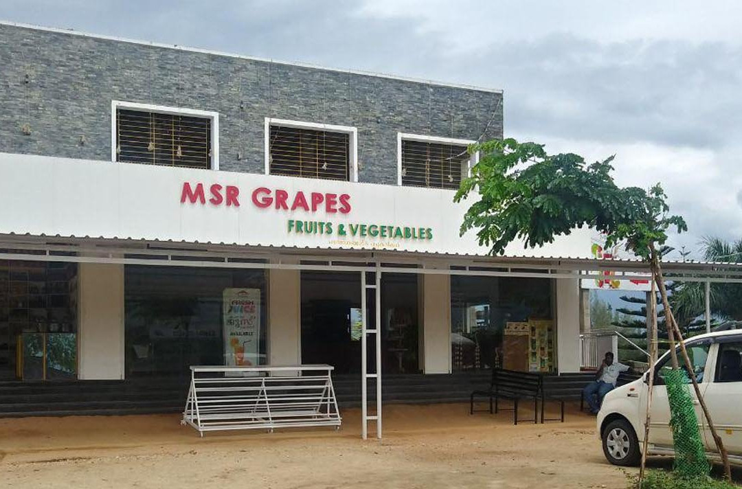 MSR Grapes Garden景点图片