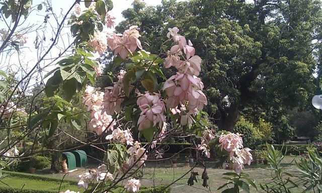 Shri Chitra Art Gallery-提卢湾安塔普兰（特里凡德伦）必去景点