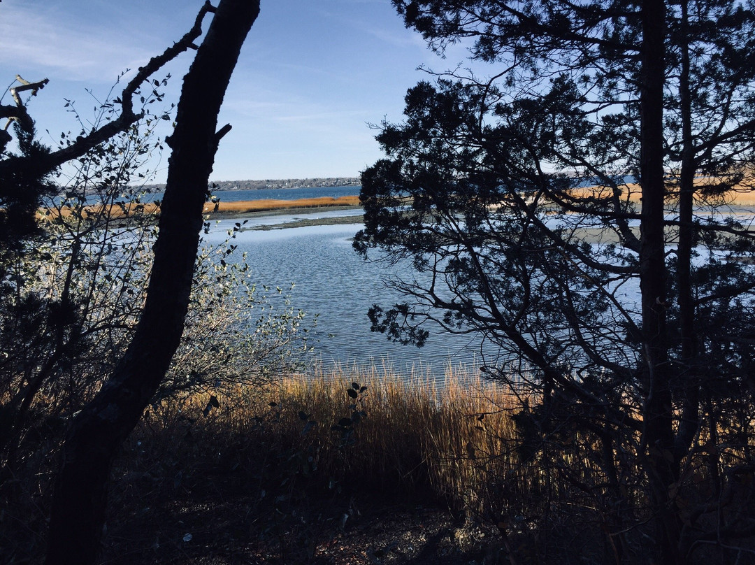 Emilie Ruecker Wildlife Refuge-Tiverton必去景点