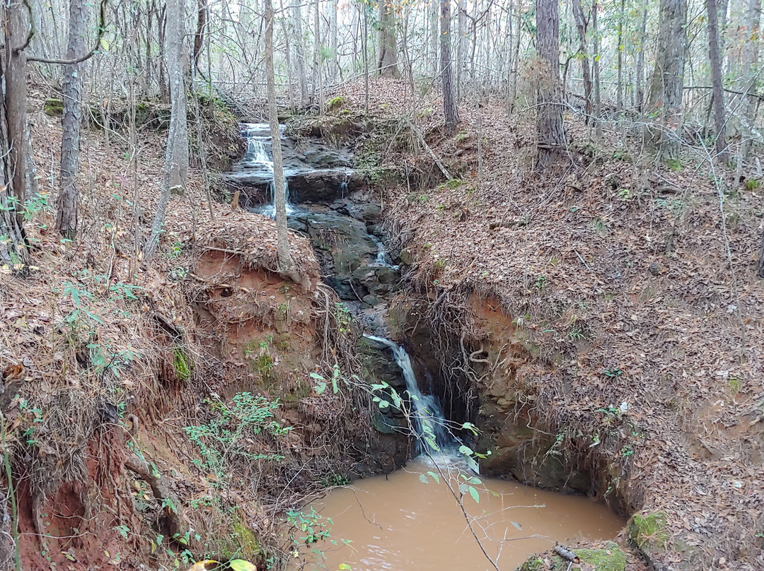Kreher Preserve & Nature Center-奥本必去景点