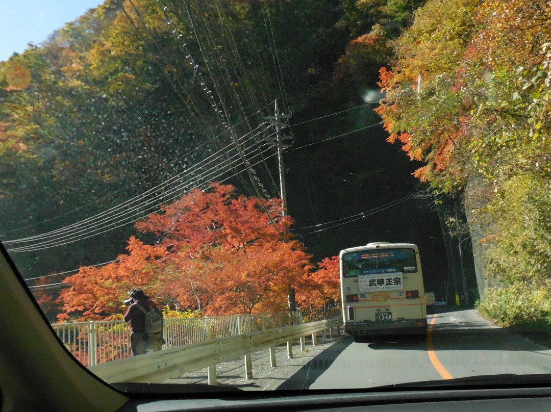 Nakatsu River-秩父市必去景点