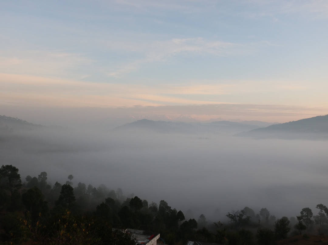 The Orchard at Peora Estates主图