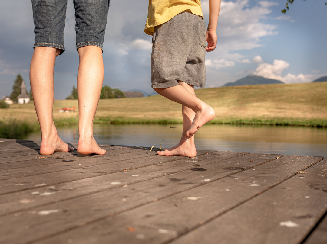 Moesslacherhof主图