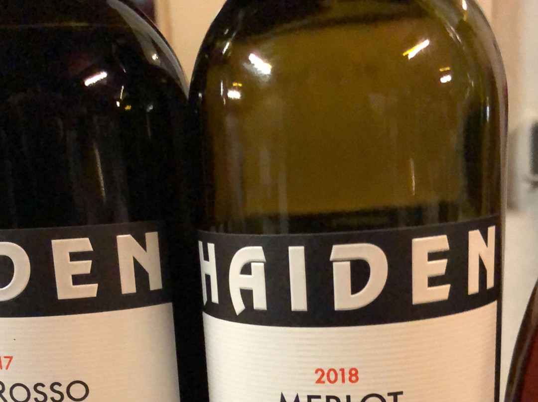 Oggau am Neusiedler See旅游攻略图片