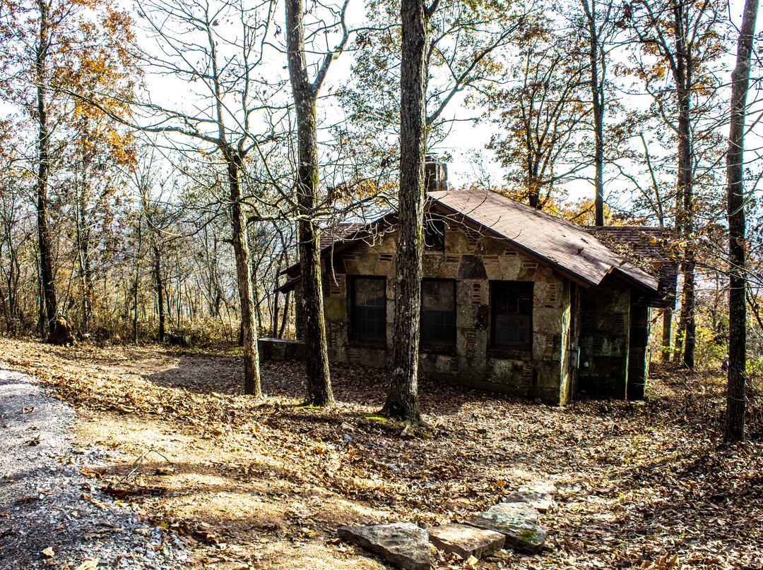 Mulberry旅游攻略图片