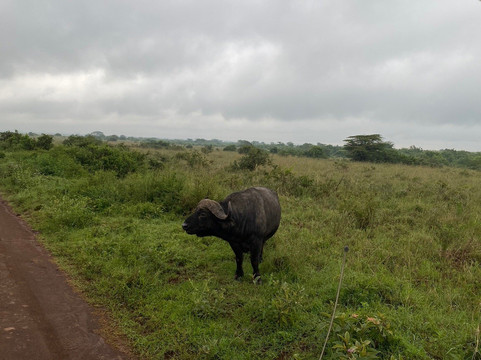 Safarilinks Africa-内罗毕必去景点