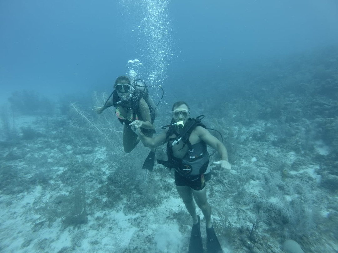 Sea Garden Centro De Buceo-圣安德烈斯必去景点