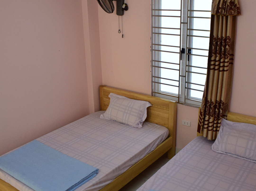 Cat Ba Sweet Potato主图