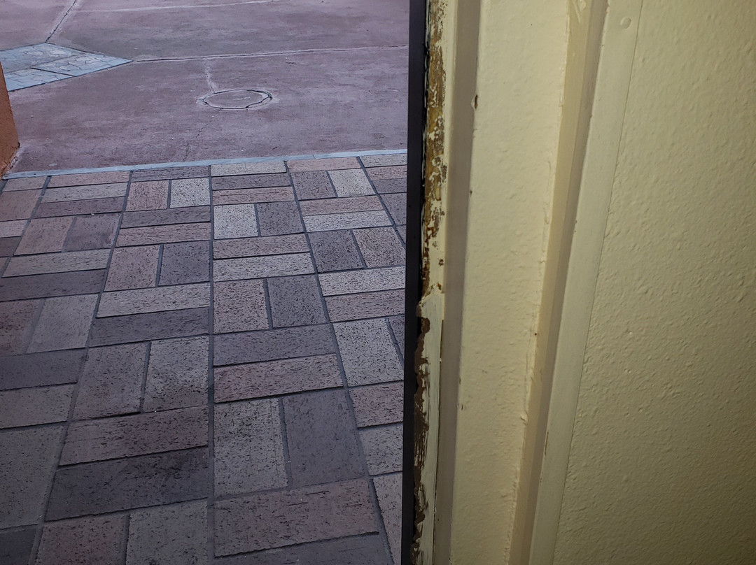 Quality Inn Near Manatee Springs State Park主图