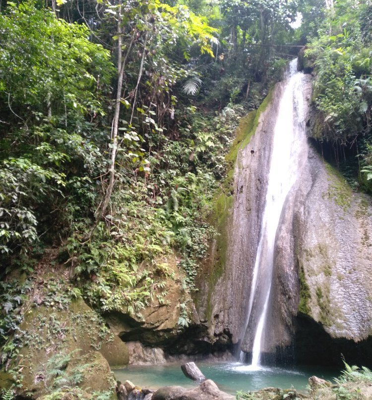 100 Waterfalls景点图片